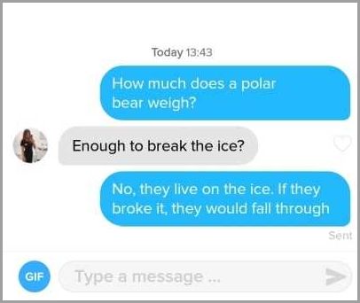 20 Funny and Cute Polar Bear Pick Up Lines to Break the Ice